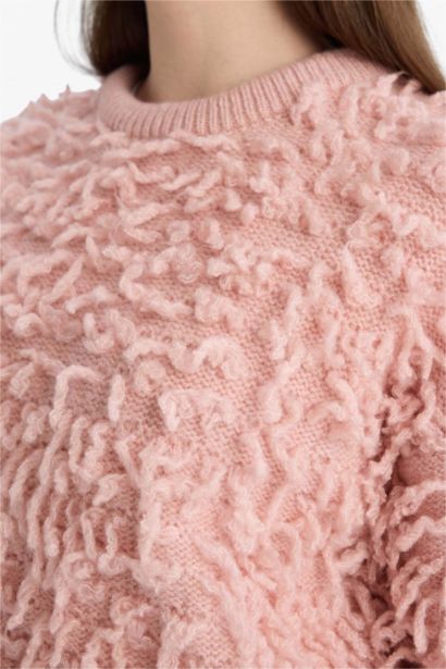 Regular Fit Crew Neck Knitwear Pullover