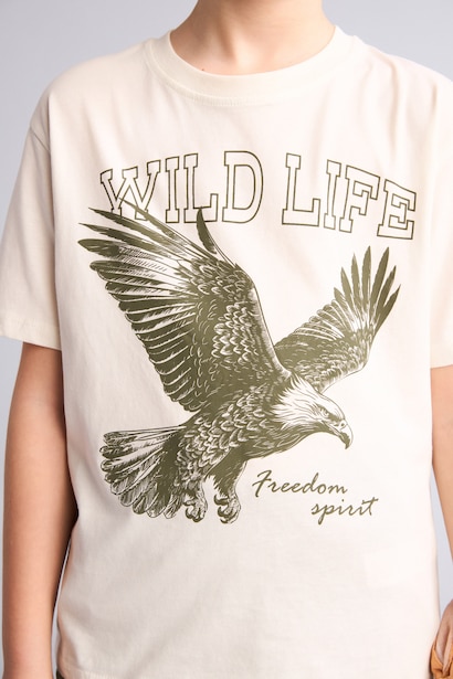 Boy Regular Fit Printed T-Shirt Shorts 2 piece Set