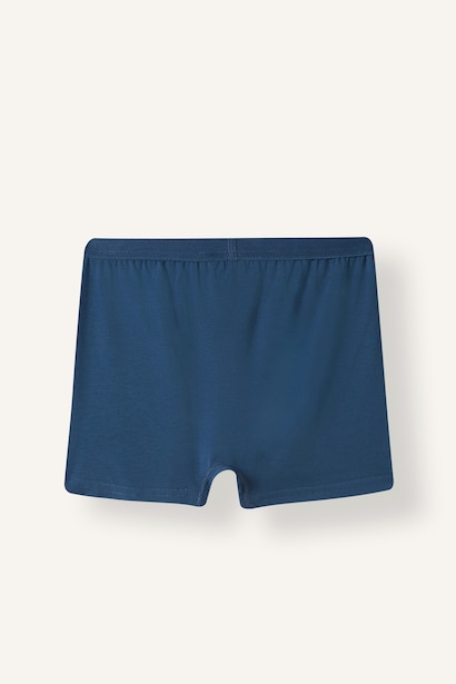 Ribana Kareli 3'lü Boxer Erkek Çocuk