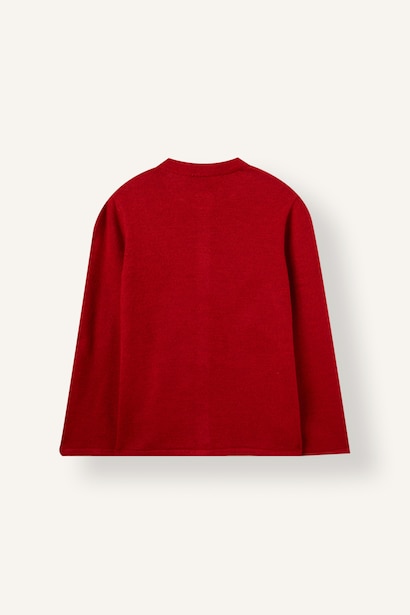 Regular Fit Knitwear Cardigan