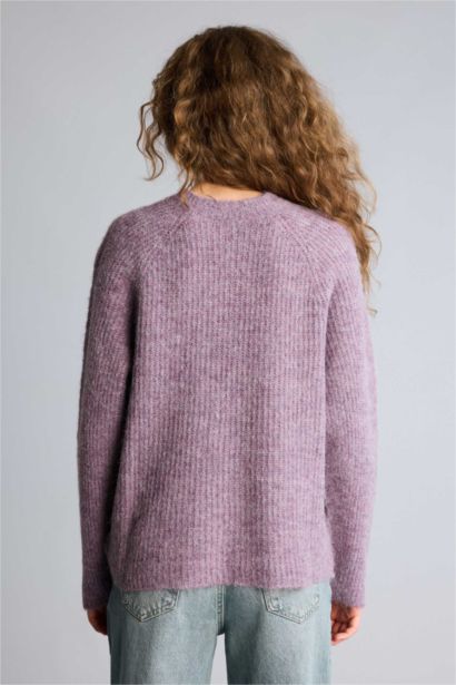 Regular Fıt Bisiklet Yaka Kazak