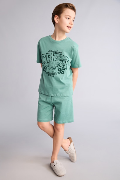 Boy 2 piece Regular Fit Printed Knitted Pyjamas