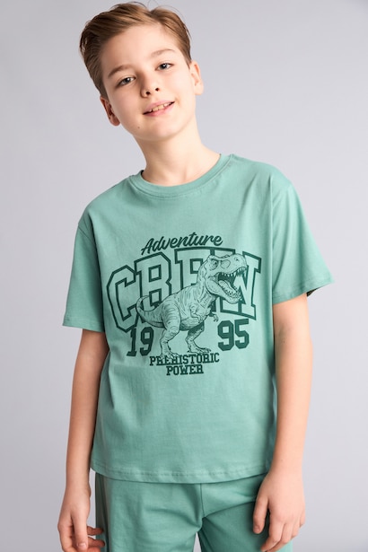 Boy 2 piece Regular Fit Printed Knitted Pyjamas