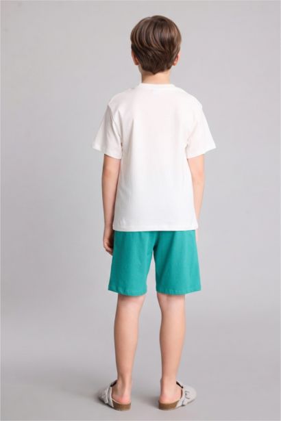 Boy 2 piece Regular Fit Printed Knitted Pyjamas