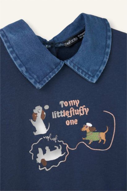 Baby Girl Embroidered Dress