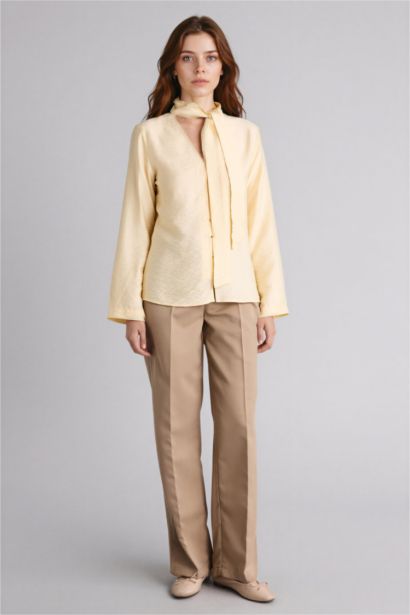 Regular Fit V-Neck Long Sleeve Shirt