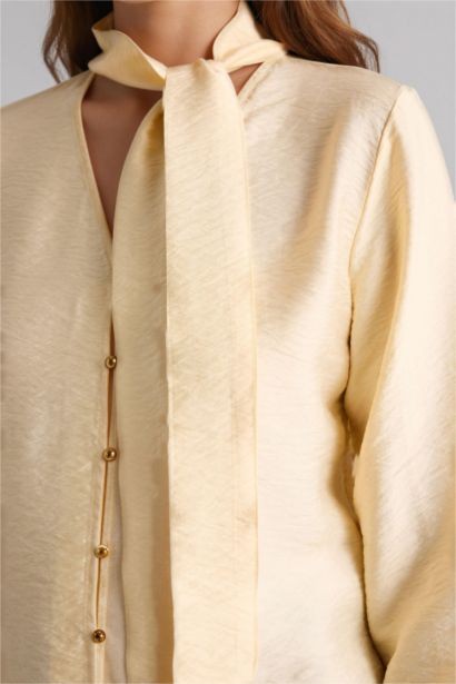 Regular Fit V-Neck Long Sleeve Shirt