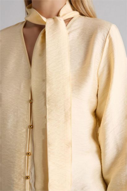 Regular Fit V-Neck Long Sleeve Shirt