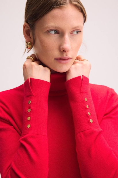 Regular Fit Ultra-Soft Turtleneck Pullover