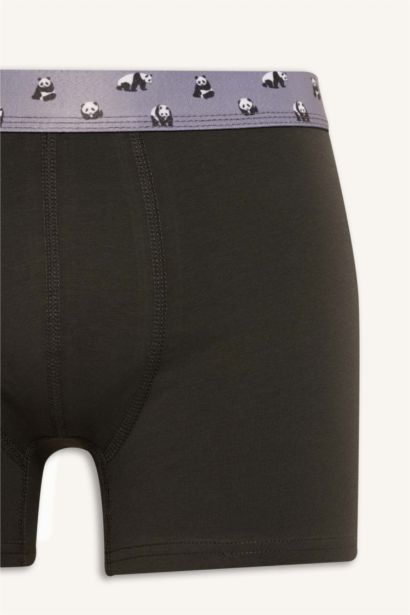 Regular Fıt Hayvan Desenli 3'lü Boxer