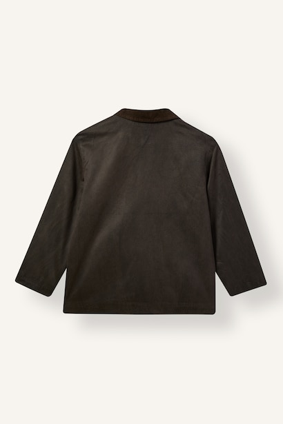 Boy Polo Collar Cotton Lined Puffer Jacket
