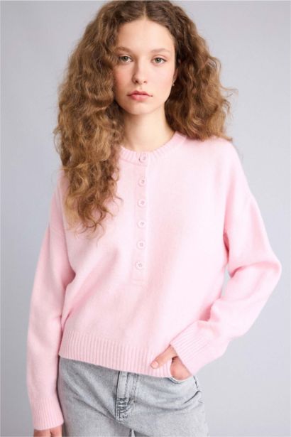 Regular Fit Crew Neck Knitwear Pullover
