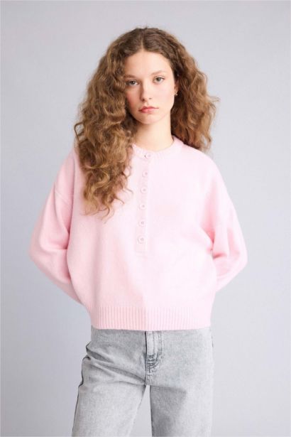 Regular Fit Crew Neck Knitwear Pullover