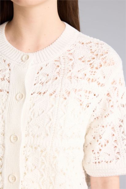 كارديجان تريكو قصة عادية بياقة مستديرة