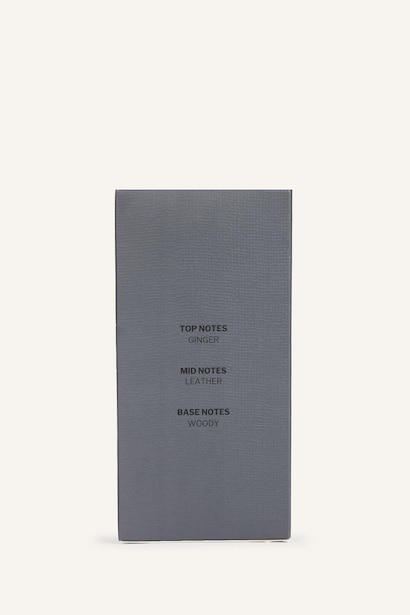 Man 100 ml Silent Wood Perfume