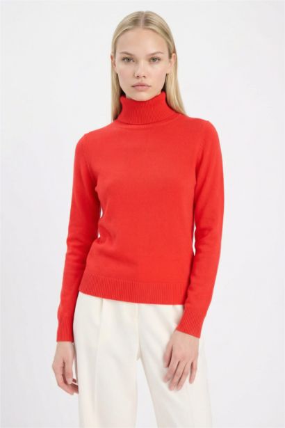 Regular Fit Turtleneck Basic Knit Pullover