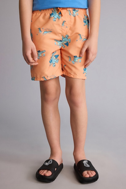 Boy Regular Fit Printed Swim Shorts