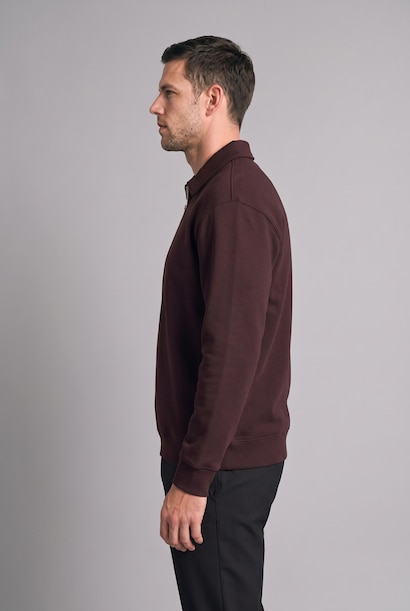 Regular Fit Thick Cotton Fabric Polo Collar Sweatshirt