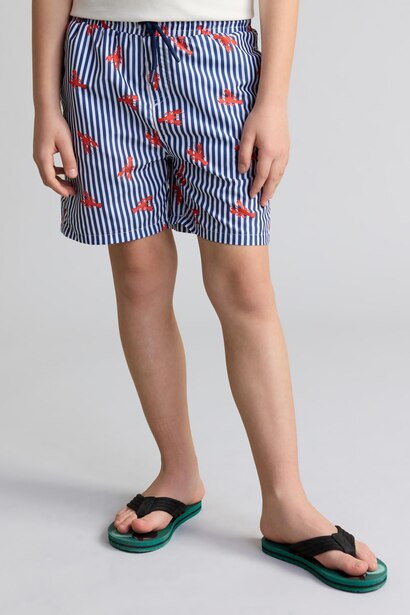 Boy Regular Fit Printed Swim Shorts