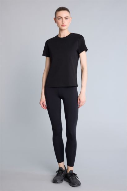 Standard Fit Cotton Short Sleeve T-Shirt