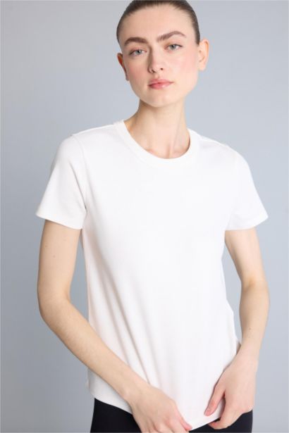 Standard Fit Cotton Short Sleeve T-Shirt