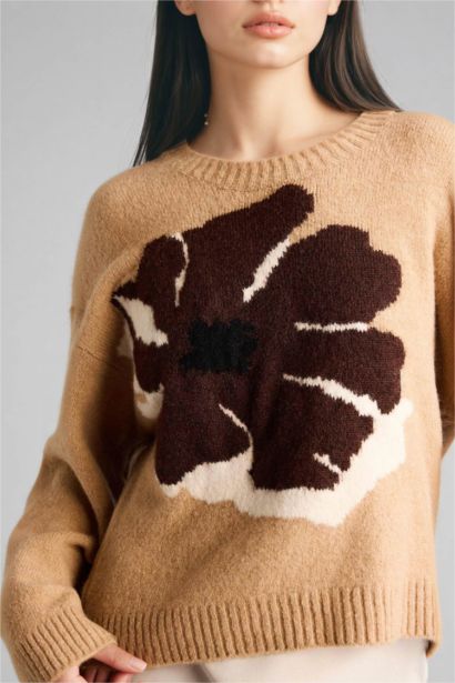 Regular Fit Crew Neck Pullover