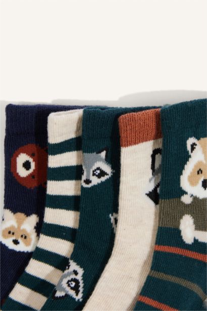 Baby Boy Animal 5 Piece Long sock