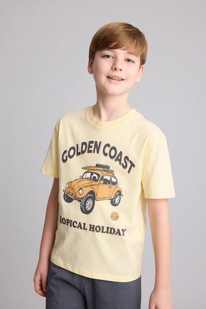 Boy 2 piece Regular Fit Printed Knitted Pyjamas
