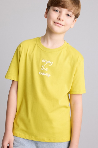Boy Regular Fit Printed Short Sleeve T-Shirt