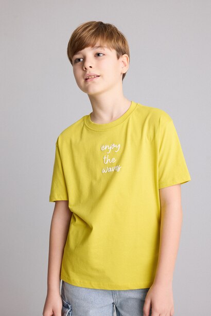 Boy Regular Fit Printed Short Sleeve T-Shirt