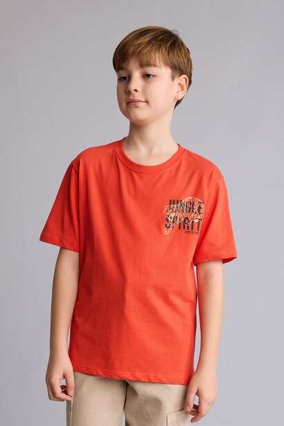 Boy New Regular Fit Printed Short Sleeve T-Shirt