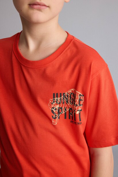 Boy New Regular Fit Printed Short Sleeve T-Shirt