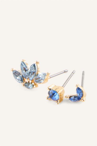 6 piece Earring