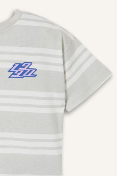 Baby Boy Regular Fit Short Sleeve T-Shirt