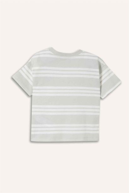 Baby Boy Regular Fit Short Sleeve T-Shirt