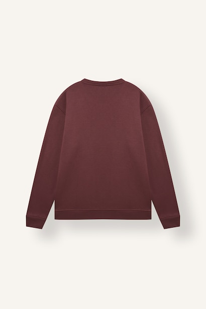 Regular Fit Crew Neck Basic Sweatshirt