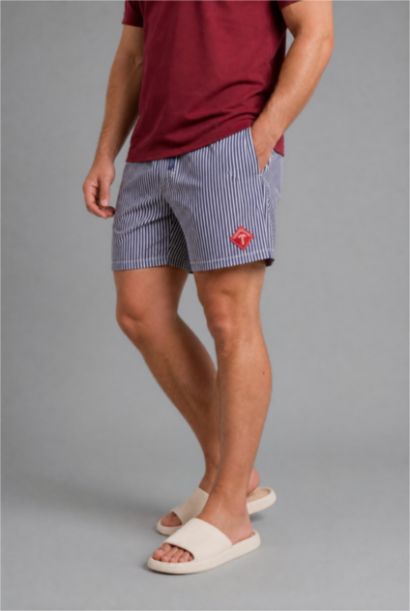 Lined Striped Swiming Shorts