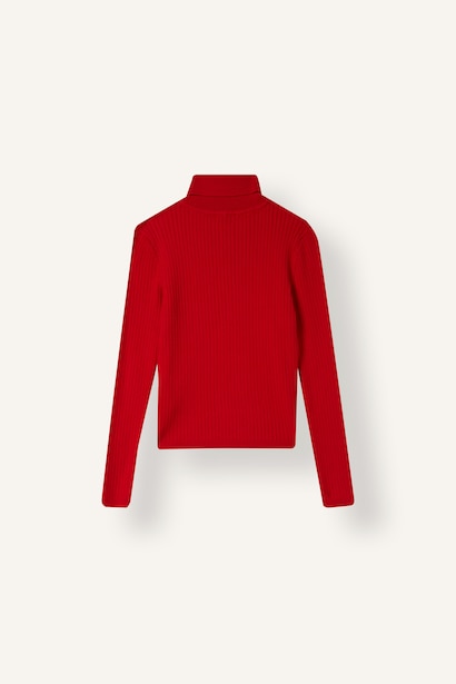 Girl Regular Fit Turtleneck Pullover