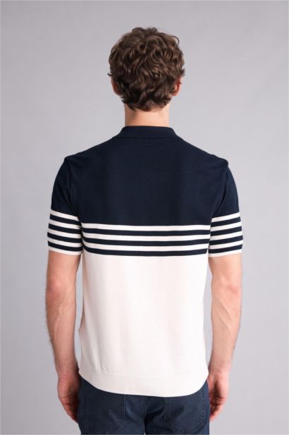 Standard Fit Polo Collar Striped Short Sleeve Polo T-Shirt