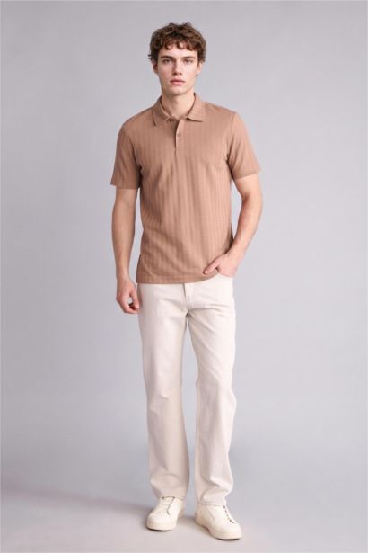 Regular Fit Kısa kollu Polo Tişört