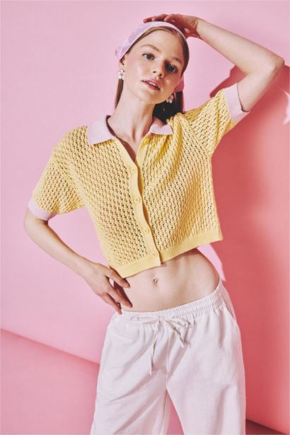Regular Fit Polo Collar Knitwear Pullover