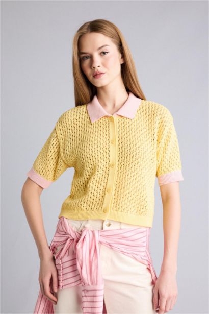 Sarı polo yaka detayına sahip triko yelek