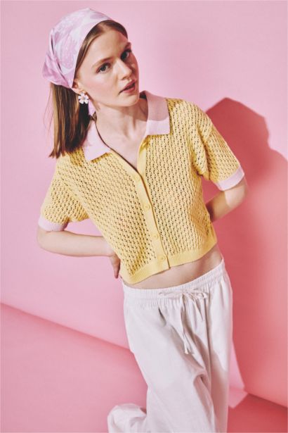 Regular Fit Polo Collar Knitwear Pullover