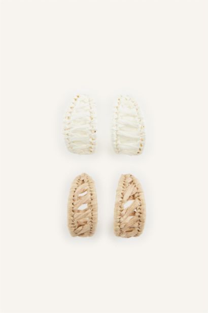 2 piece Earring