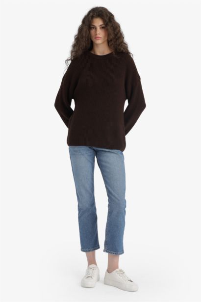 Regular Fit Crew Neck Basic Knit Pullover