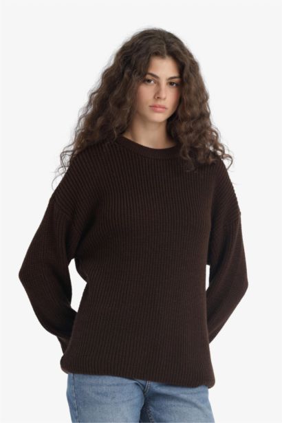 Regular Fit Crew Neck Basic Knit Pullover