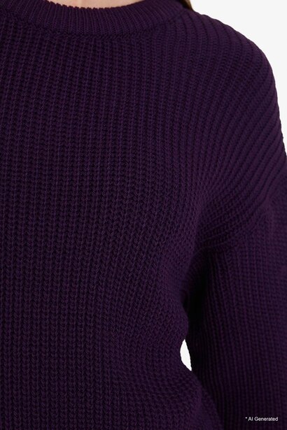 Regular Fit Pullover