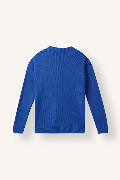 Regular Fit Pullover