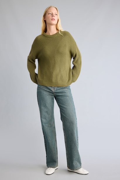 Regular Fit Crew Neck Knitted Pullover