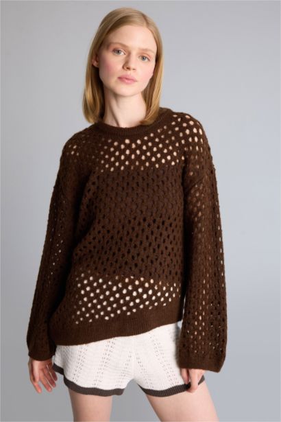 Regular Fit Knitwear Pullover